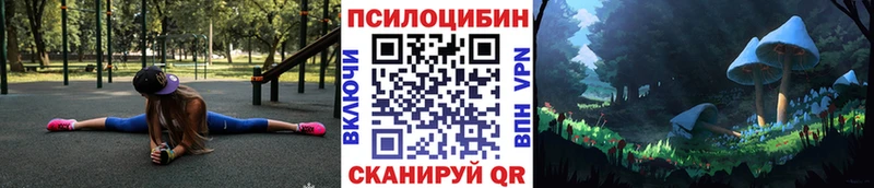 купить  сайты  площадка Telegram  Псилоцибиновые грибы Magic Shrooms  Качканар 